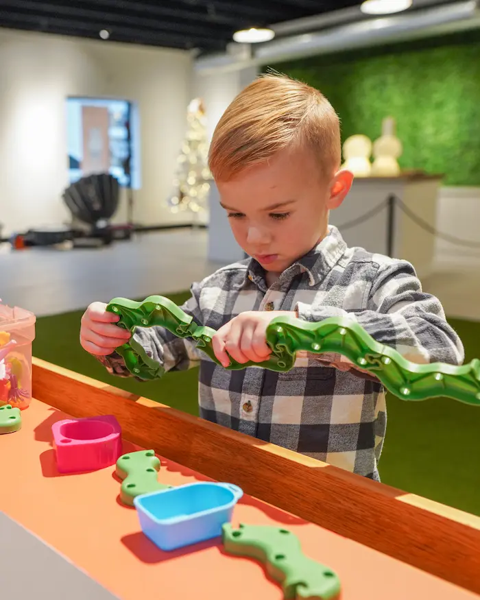 kid playing with toys