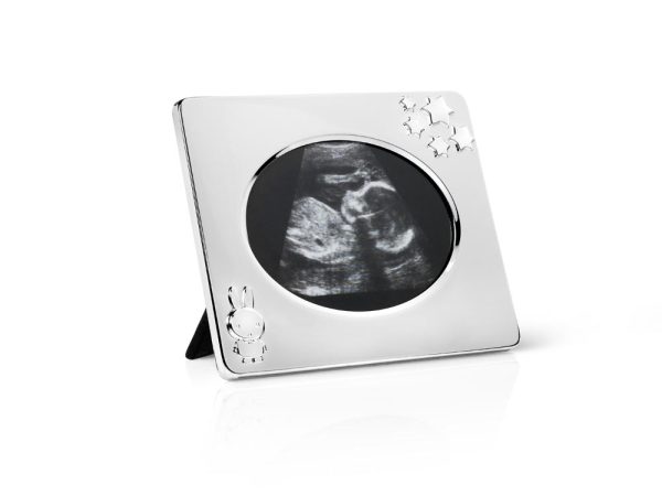 Sonogram picture frame from miffy silver