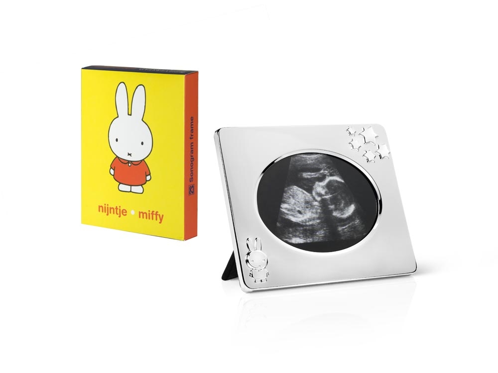 Sonogram picture frame from miffy with box