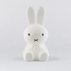 miffy star light