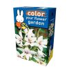 acidanthera callianthus muriela miffy box