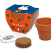 miffy terracotta pot four leaf clover