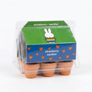 Miffy greenhouse strawberrie kit